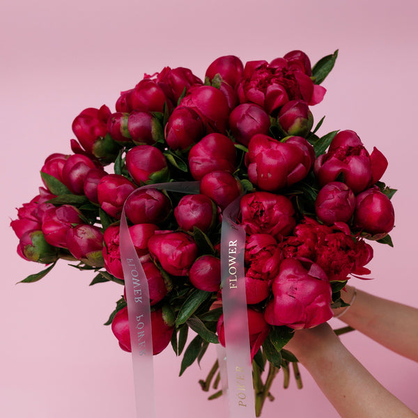 Букет малиново-коралових півоній Поцілунок