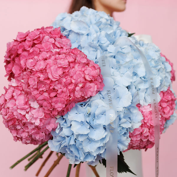 Букет гортензій Солодкий настрій