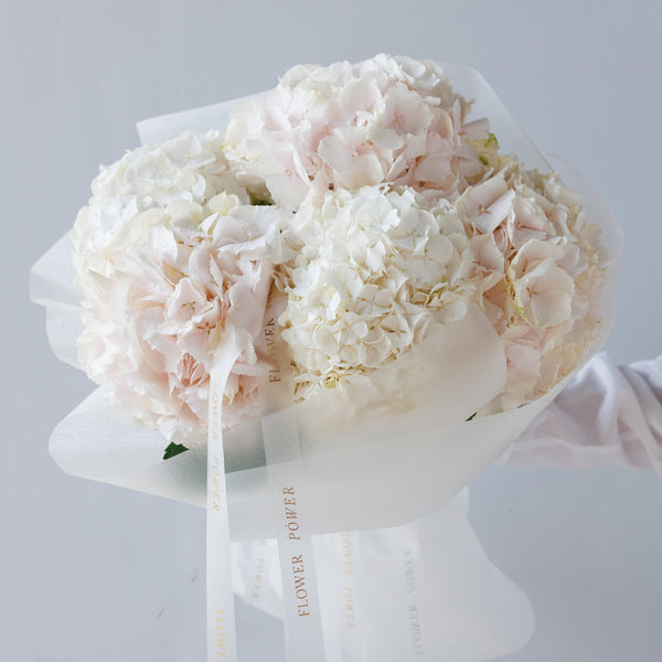 Букет гортензій Біла Хмаринка